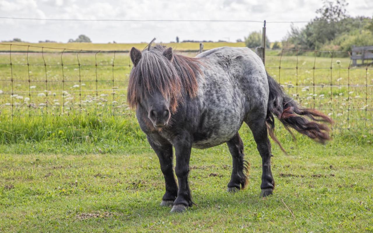 Eendrachtweg 4 De Cocksdorp  Luaran gambar